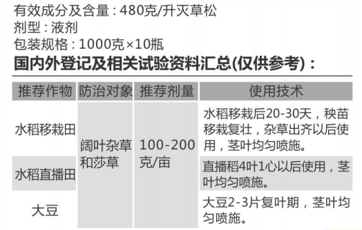 冲锋号 冲锋号