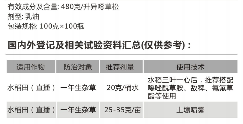 谷岚 谷岚