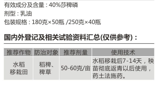 稻秾 稻秾