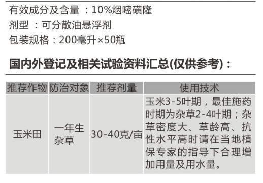 巨灿 巨灿