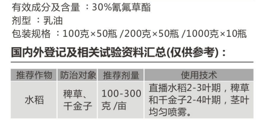稻金香 稻金香
