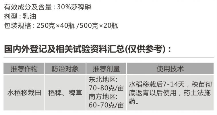 格达津 格达津