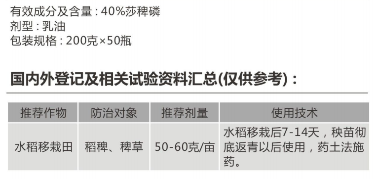 稻威特 稻威特