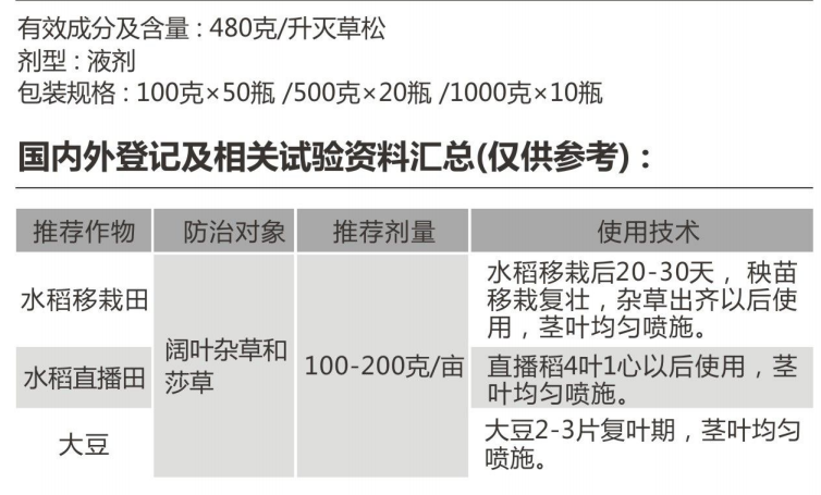 巴斯丹 巴斯丹